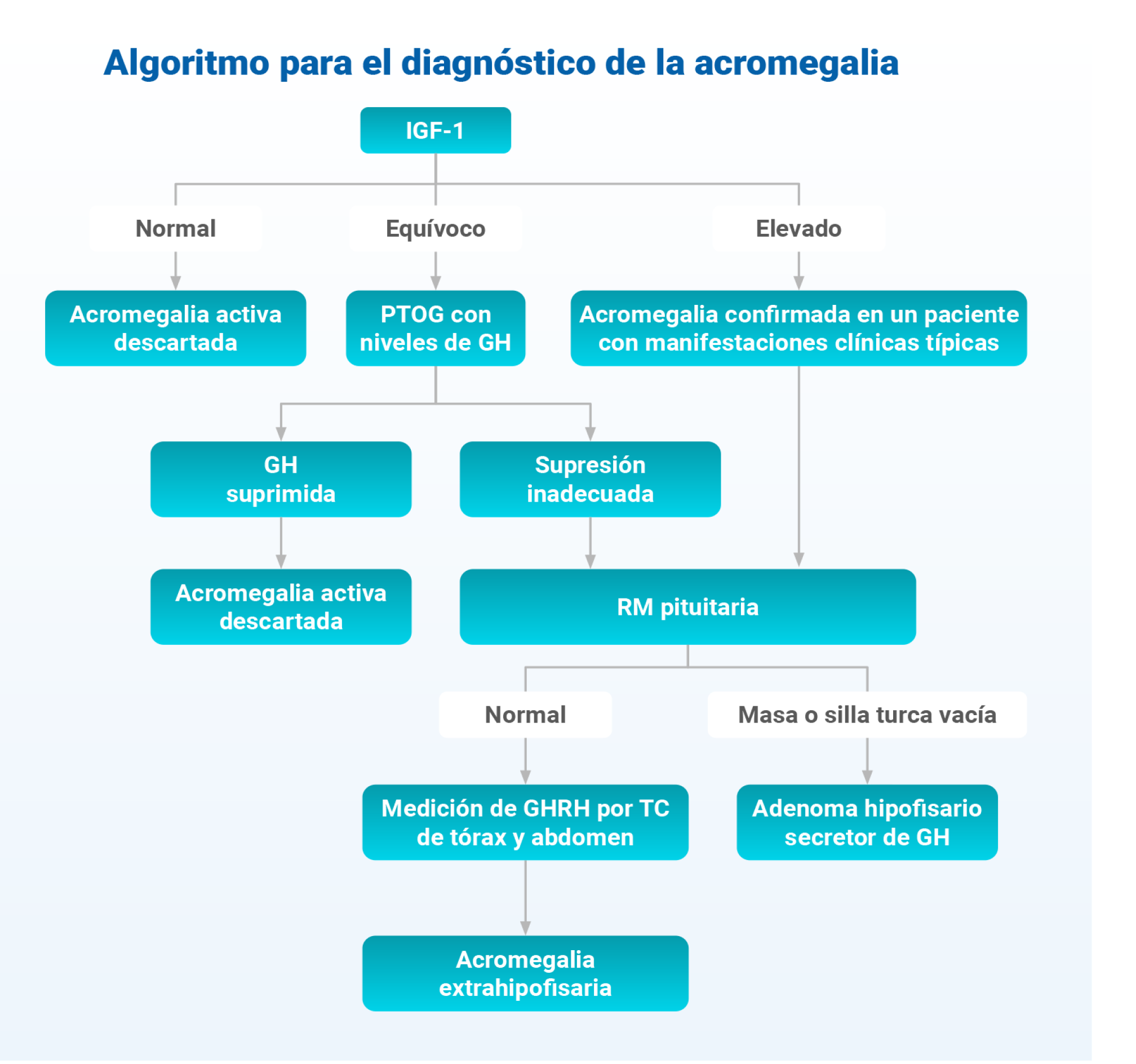 Algoritmo para el diagnóstico de la acromegalia. El algoritmo comienza con la medición de IGF-1 y se divide en tres posibles resultados: normal, equívoco y elevado. Dependiendo del resultado, se siguen diferentes pasos para confirmar o descartar la acromegalia activa. Si el IGF-1 es normal, se descarta la acromegalia activa. Si es equívoco, se realiza una prueba de tolerancia oral a la glucosa (PTOG) con niveles de GH. Si la GH está suprimida, se descarta la acromegalia activa; si la supresión es inadecuada, se realiza una resonancia magnética (RM) pituitaria. Si el IGF-1 es elevado, se confirma la acromegalia en un paciente con manifestaciones clínicas típicas y se realiza una RM pituitaria. Si la RM es normal, se mide la GHRH por tomografía computarizada (TC) de tórax y abdomen para diagnosticar acromegalia extrahipofisaria. Si la RM muestra una masa o silla turca vacía, se diagnostica un adenoma hipofisario secretor de GH.